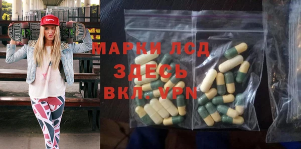 дживик Сосновый Бор