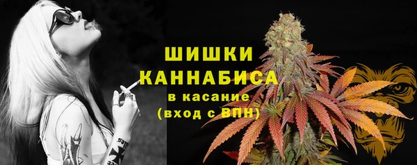 стафф Сосновка