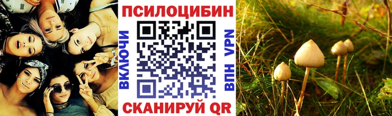Галлюциногенные грибы Cubensis  Можайск 